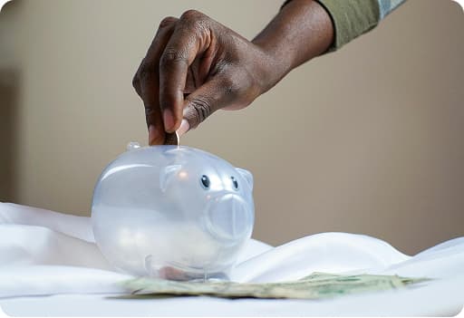 Fixed, transparent cost